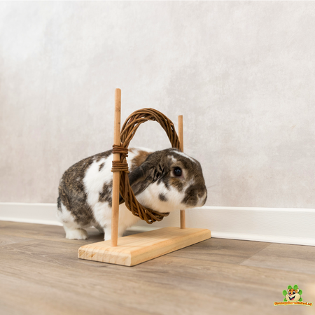 Trixie Behendigheidsset voor Knaagdieren en Konijnen