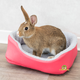 Trixie Panier Relax 35 cm pour rats, cobayes et lapins