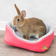 Trixie Relax Rodent Basket 35 cm