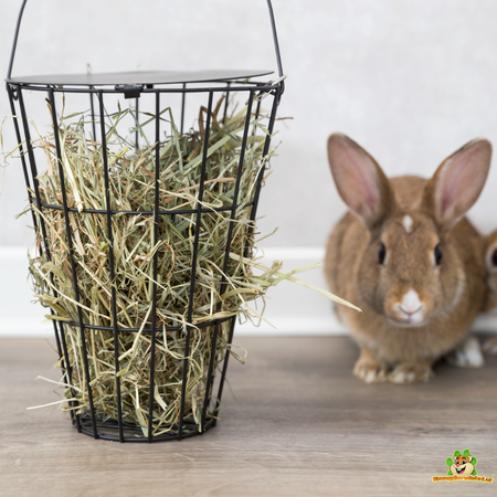 Trixie Hay rack hanging basket 21 cm