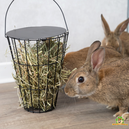 Trixie Hay rack hanging basket 21 cm
