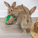 Trixie Grasspielzeug für Nagetiere und Kaninchen, 7 cm