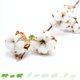 Knaagdierwinkel® Branches de coton avec bulbes