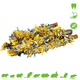 Haselnuss mit Blumen nagen