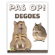 Knaagdierwinkel® Regarder le signe Degus