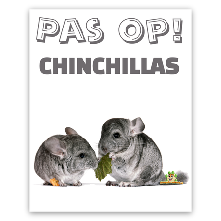 Knaagdierwinkel® Viendo señales de chinchillas