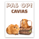 Knaagdierwinkel® Waakbord Cavia's