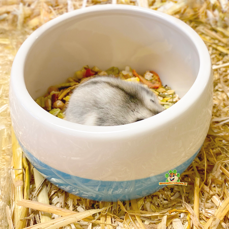 Musikschlumpf Futter-/Wassernapf 15 cm