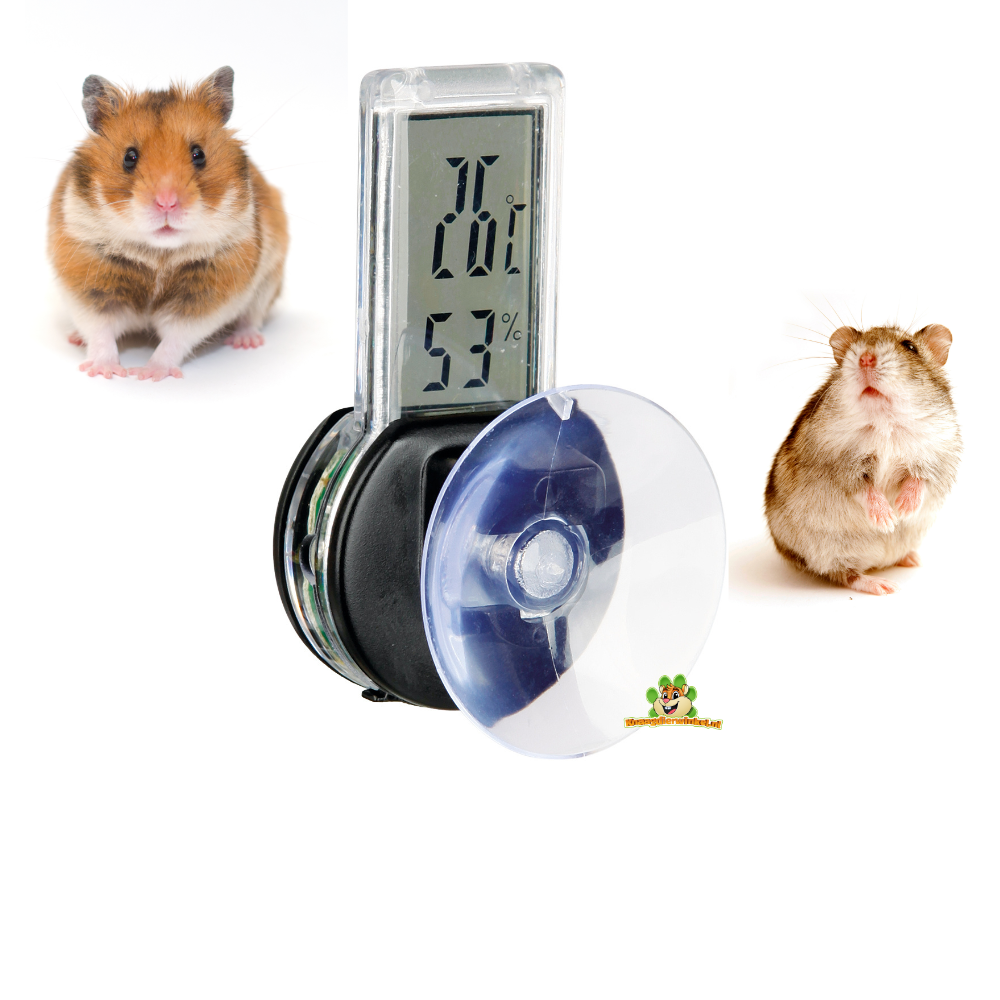 Mew Mew bovenstaand Aanpassing Hamsterkooi Accessoires in de Hamster Webshop! | DRD Knaagdierwinkel®