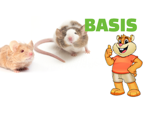 Basic equipment Mouse