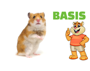 Configuration de base pour hamster