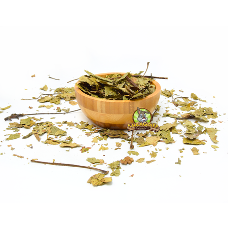 ¡Hojas de avellana para roedores y conejos!