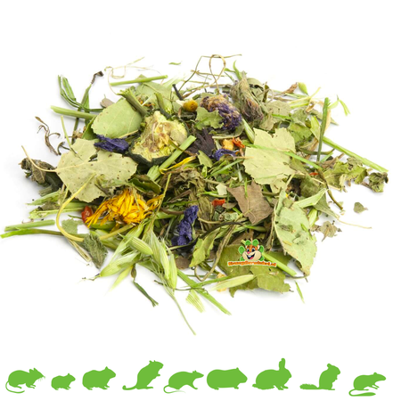 Mr Crumble Herbes pour chinchillas