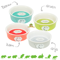 Ceramic Food/Water Bowl Color Guinea Pig 11 cm