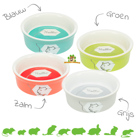 Trixie Ceramiczna miska na jedzenie/wodę kolorowa świnka morska 11 cm