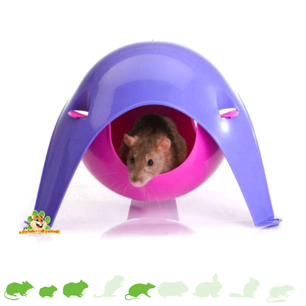 Savic Sputnik Huis Paars/Roze voor Muizen, Ratten! | DRD Knaagdierwinkel®