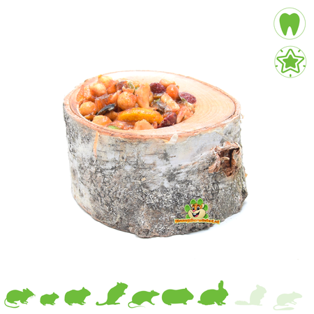 JR Farm Drewniana doniczka na owoce 9 cm