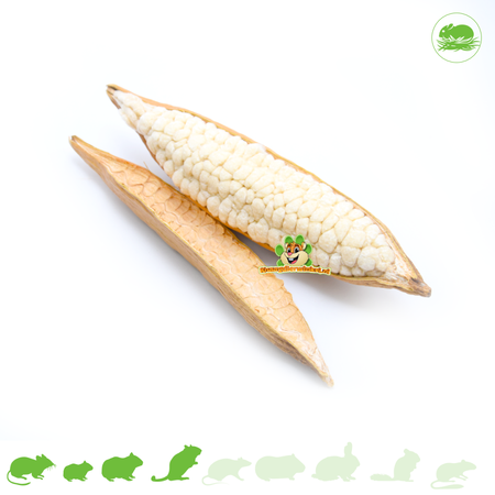 JR Farm Kapok Pods i włókna kapok dla małych gryzoni