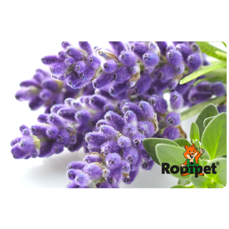 Rodipet BiMSi® Badzand Kruidenbad Lavendel 1 Liter