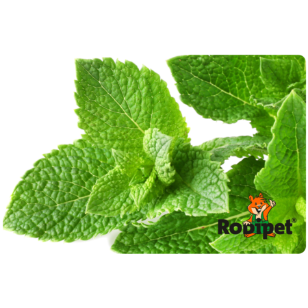Rodipet BiMSi® Bain Sable Bain aux Herbes Mélisse 1 Litre