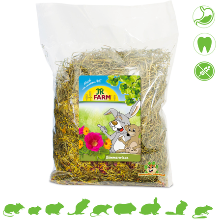 JR Farm Foin de prairie d'été 500 grammes