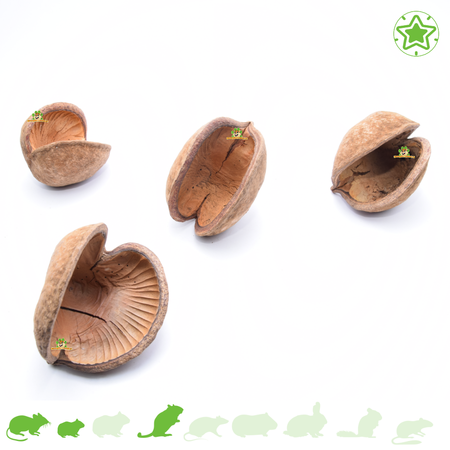 Knaagdierwinkel® Buddha Note for Hamsterscaping & Gerbilscaping
