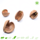 Knaagdierwinkel® Buddha Nut for Rodents!