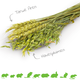 JR Farm Nibble Harvest Green Wheat Spikes Mix