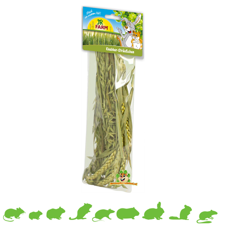 JR Farm Mezcla de espigas de trigo verde Nibble Harvest