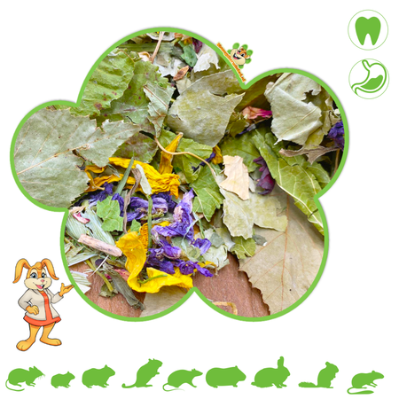 Engrais SAB Degoe Plant Mix équilibré 500 grammes