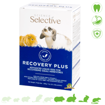 Recovery Plus Sachets Zwangsnahrung