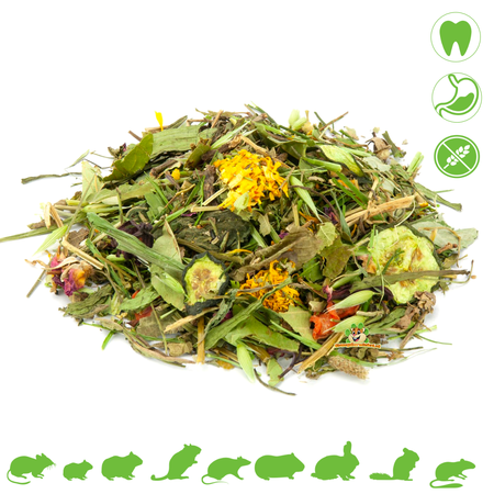 Mr Crumble Graanvrije Natuurvoeding voor Degoes 250 gram | Degoevoer