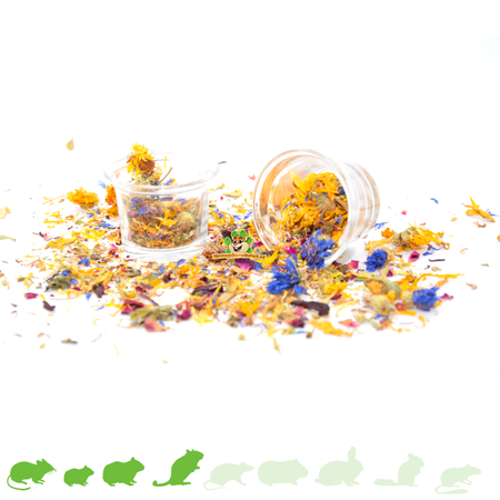 Knaagdier Kruidenier Gamelle en verre pour nourriture ou eau 6 cm