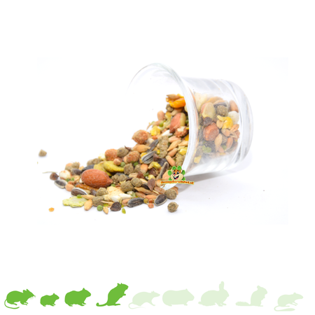 Knaagdier Kruidenier Comedero o bebedero de cristal de 6 cm