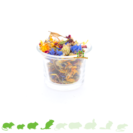 Knaagdier Kruidenier Comedero o bebedero de cristal de 6 cm