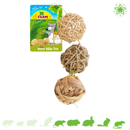JR Farm Nature Trio Spielbälle für Nagetiere und Kaninchen