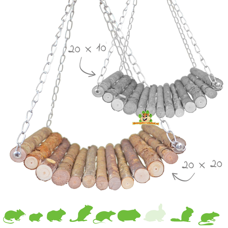 Wierzbowy most wiszący dla gryzoni!