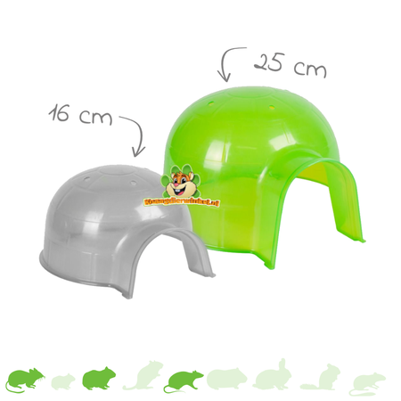 Iglo Groen Knaagdier Huis
