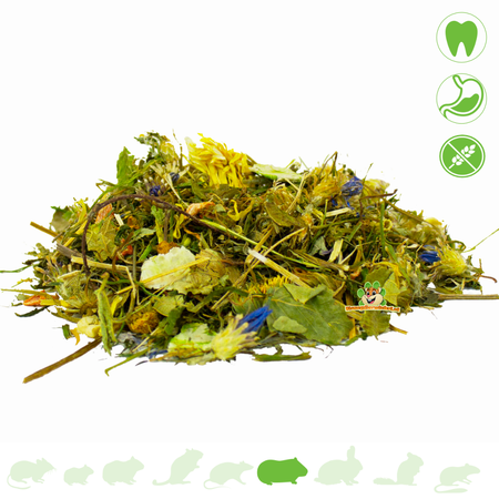 JR Farm Karma dla świnek morskich JR Farm bez granulatu 2 kg – bez zbóż i bogata w zioła