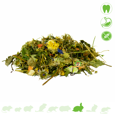 JR Farm Alimento natural para conejos JR Farm sin pellets, 2 kg – Sin cereales y con alto contenido en fibra.