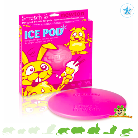 Scratch and Newton Icepod Koelschijf voor Konijnen en Knaagdieren 21 cm