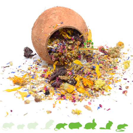 Knaagdierwinkel® Coconut 12 cm for Rodents & Rabbits!