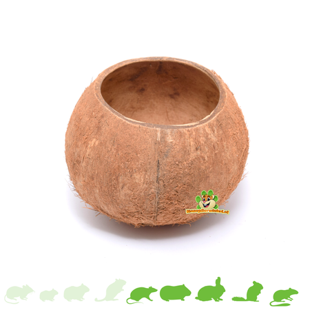Knaagdierwinkel® Noix de Coco 12 cm pour Rongeurs & Lapins !