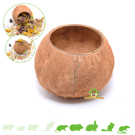 Knaagdierwinkel® Noix de coco de 12 cm pour rongeurs et lapins
