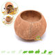 Knaagdierwinkel® Kokosnoot 12 cm voor Knaagdieren en Konijnen