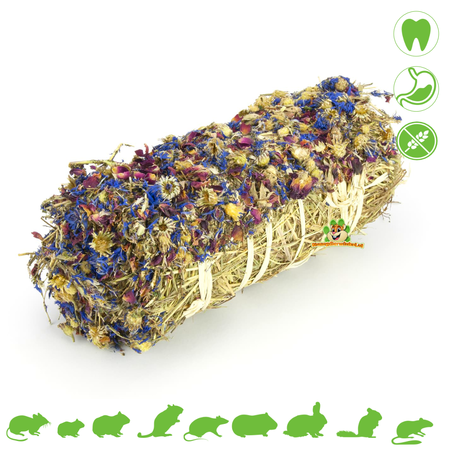 Nibble Meadow Hay Bale Aciano y Rosa Sin Grano