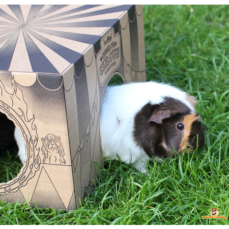 HayPigs HayPigs Pappspielhaus Junior 30 cm für Nagetiere