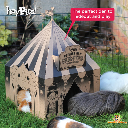 HayPigs HayPigs Pappspielhaus 33 cm für Nagetiere