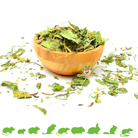 Gedroogde Echinacea 150 gram voor Knaagdieren & Konijnen!