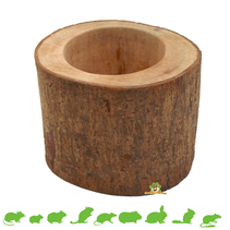 Tree trunk Kudus Cup 10 cm